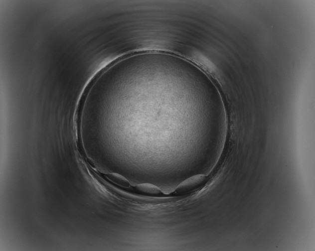 X0000086980892200704161446