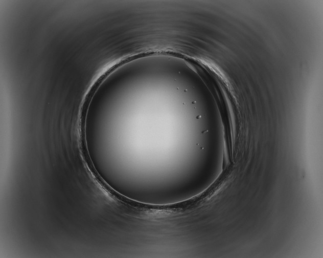 X0000086980894200704161446