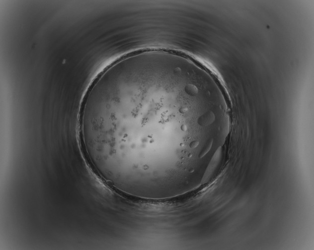 X0000086980895200704161446
