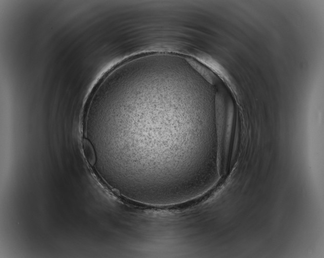 X0000086980896200704161446