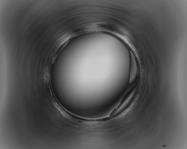 X0000086980897200704161446