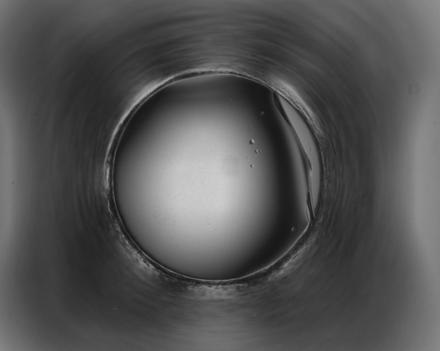 X0000086980900200704161446