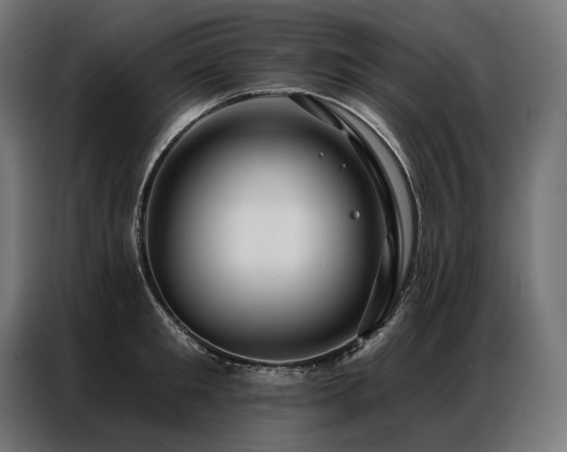 X0000086980901200704161446