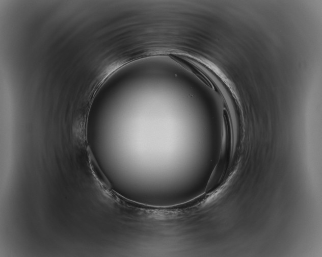 X0000086980905200704161446