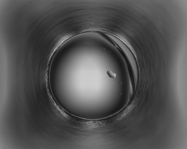 X0000086980906200704161446