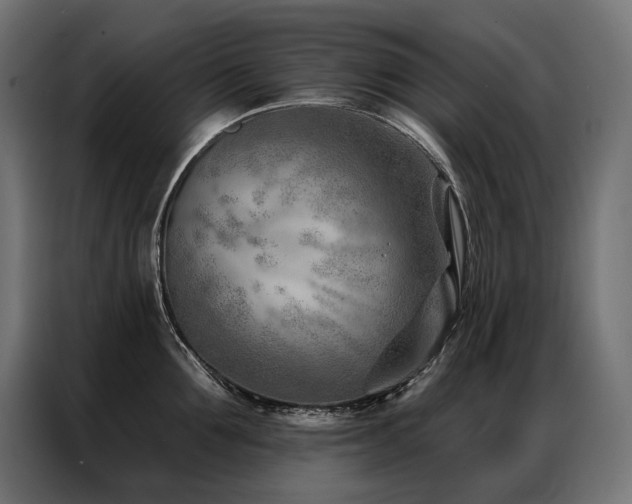 X0000086980907200704161446