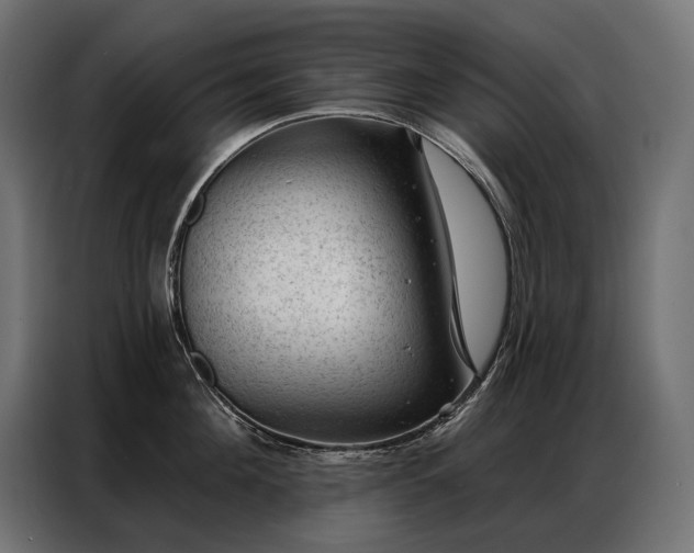 X0000086980908200704161446