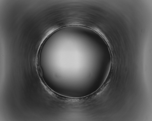 X0000086980909200704161446