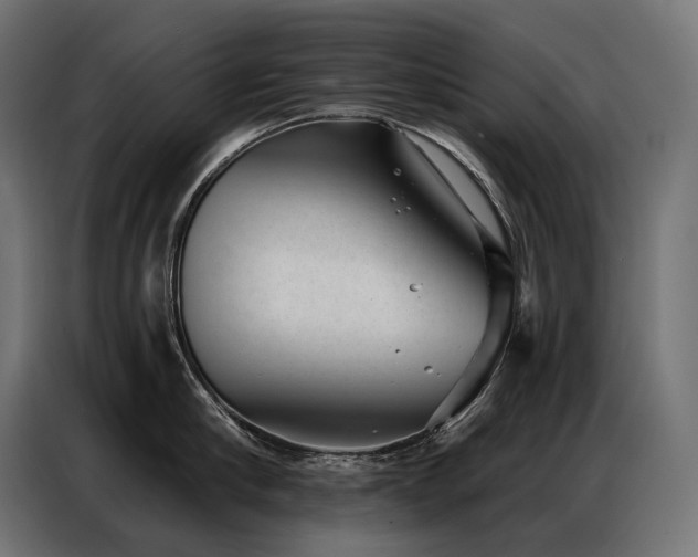 X0000086980910200704161446