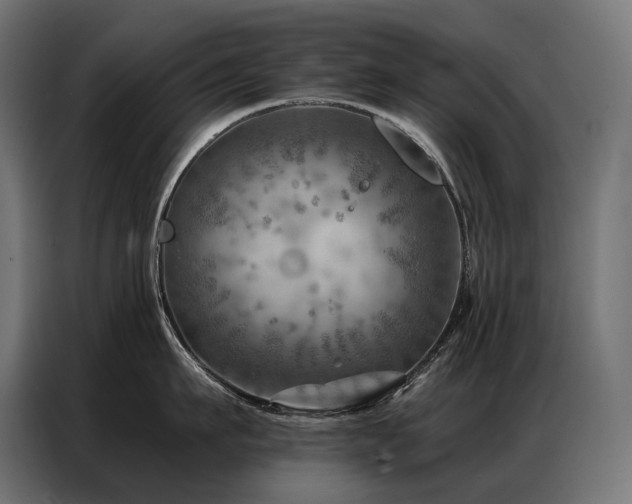 X0000086980911200704161446