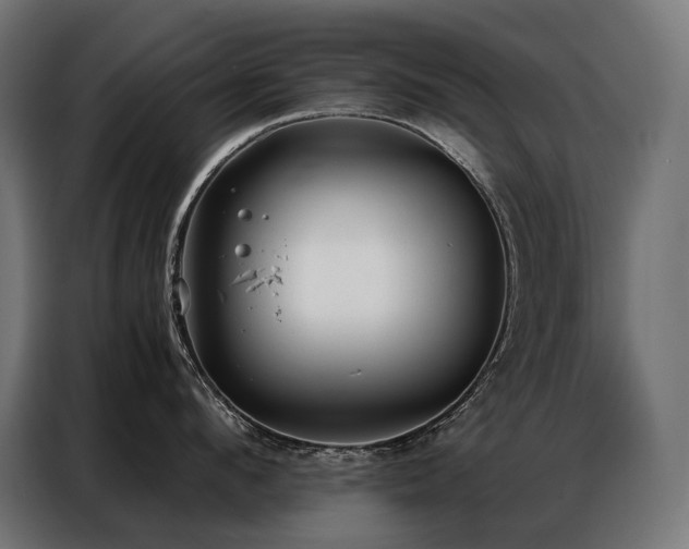X0000086980912200704161446