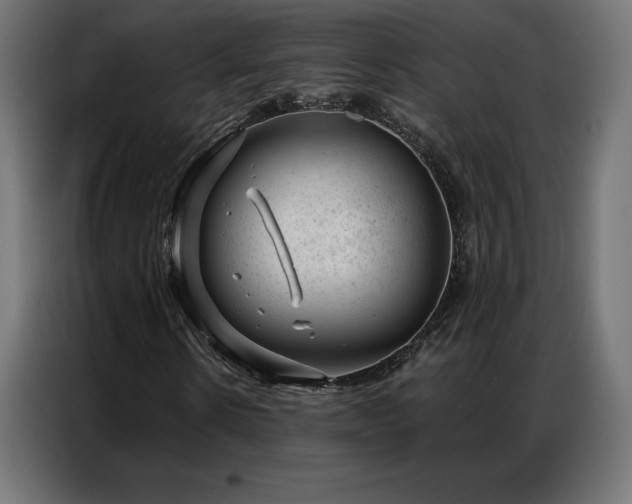 X0000086980914200704161445