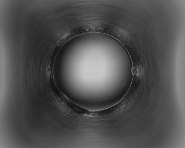 X0000086980915200704161445