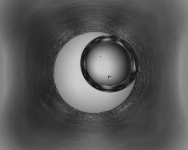 X0000086980916200704161445