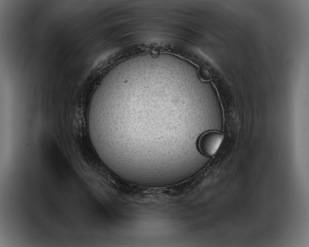 X0000086980918200704161445