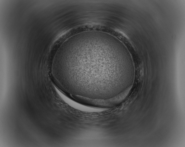 X0000086980919200704161445