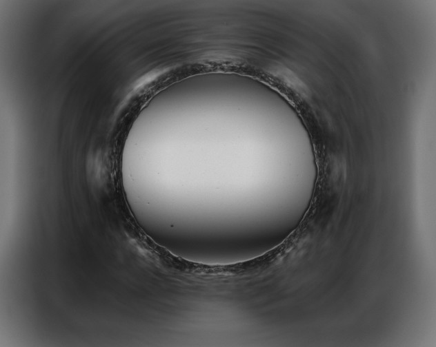 X0000086980920200704161445
