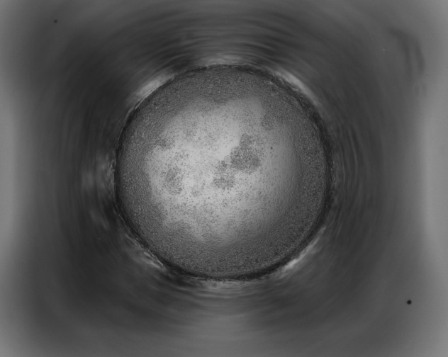 X0000086980921200704161445