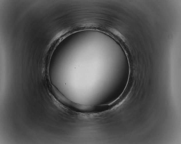 X0000086980922200704161445