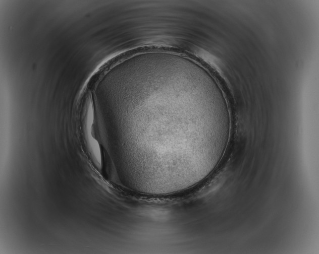 X0000086980923200704161445