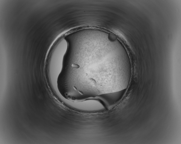 X0000086980924200704161445