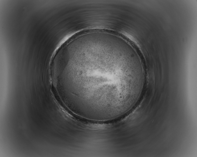 X0000086980925200704161445