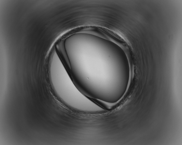 X0000086980926200704161445
