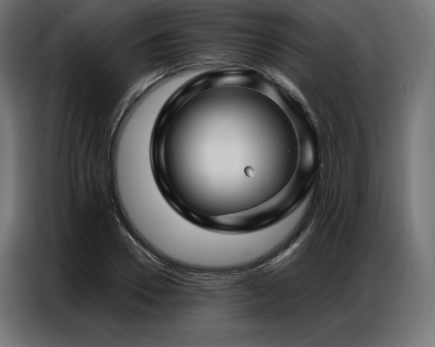 X0000086980930200704161445