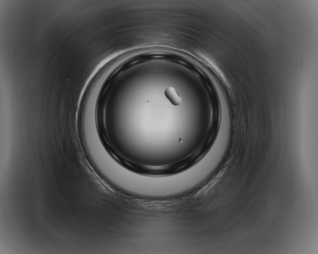 X0000086980932200704161445