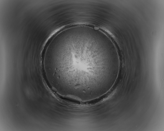 X0000086980933200704161445