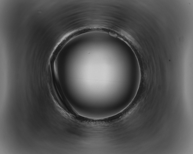 X0000086980934200704161445