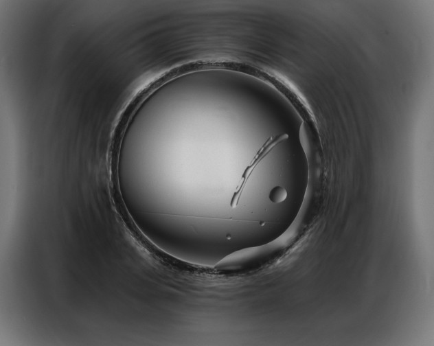 X0000086980935200704161445