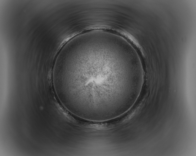 X0000086980937200704161446