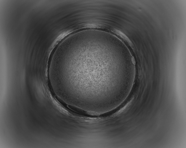 X0000086980938200704161446