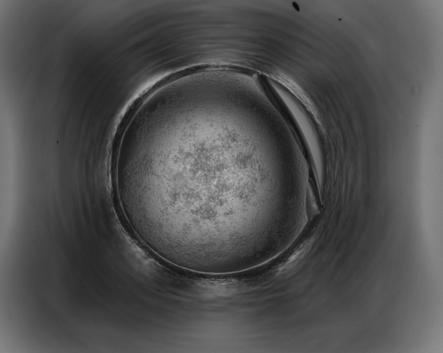 X0000086980939200704161446