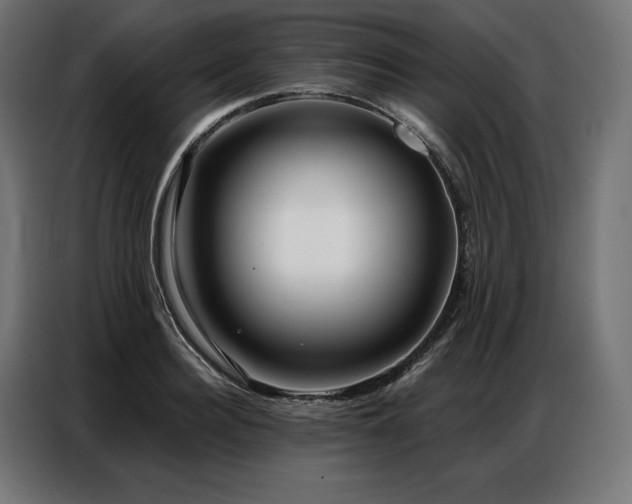 X0000086980940200704161446