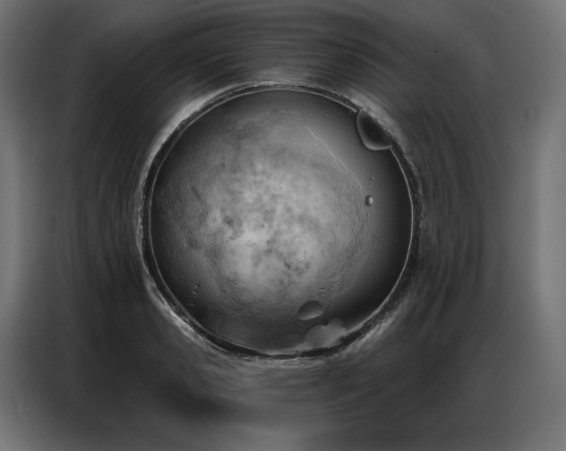 X0000086980941200704161446