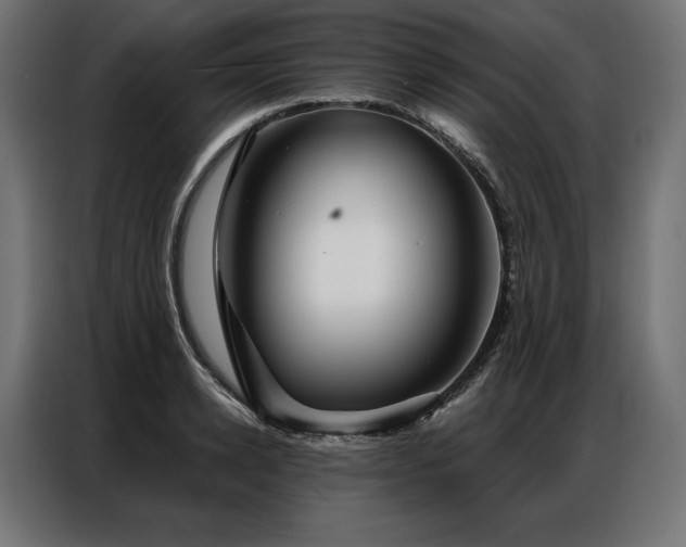 X0000086980942200704161446