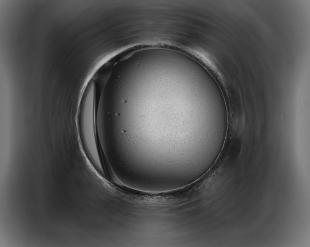 X0000086980943200704161446