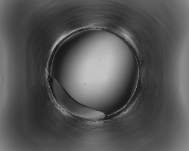 X0000086980944200704161446