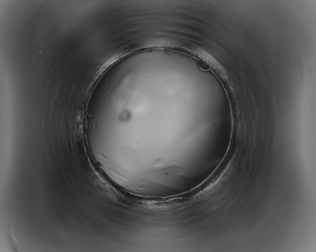 X0000086980945200704161446