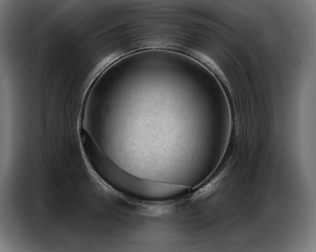 X0000086980946200704161446