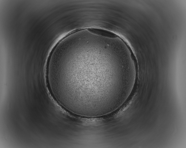 X0000086980949200704161446
