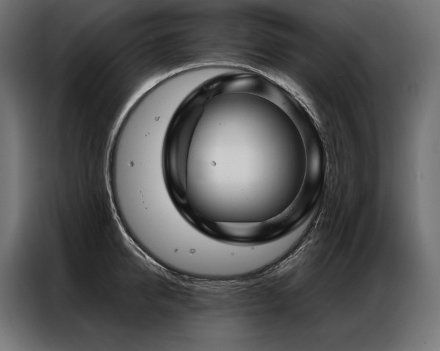 X0000086980950200704161446