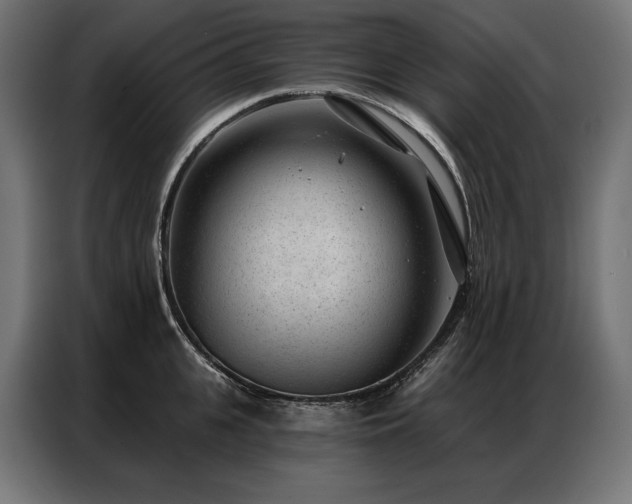 X0000086980951200704161446