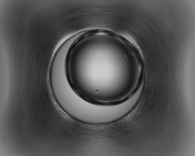 X0000086980952200704161446