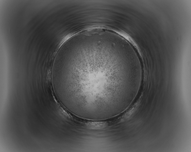 X0000086980953200704161446