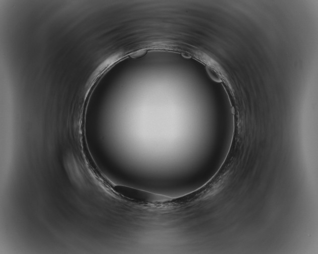 X0000086980954200704161446
