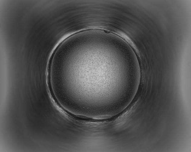 X0000086980955200704161446