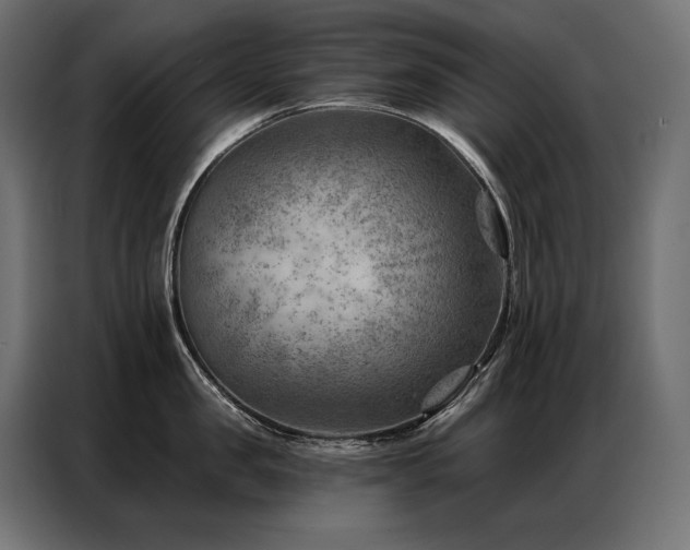 X0000086980957200704161446
